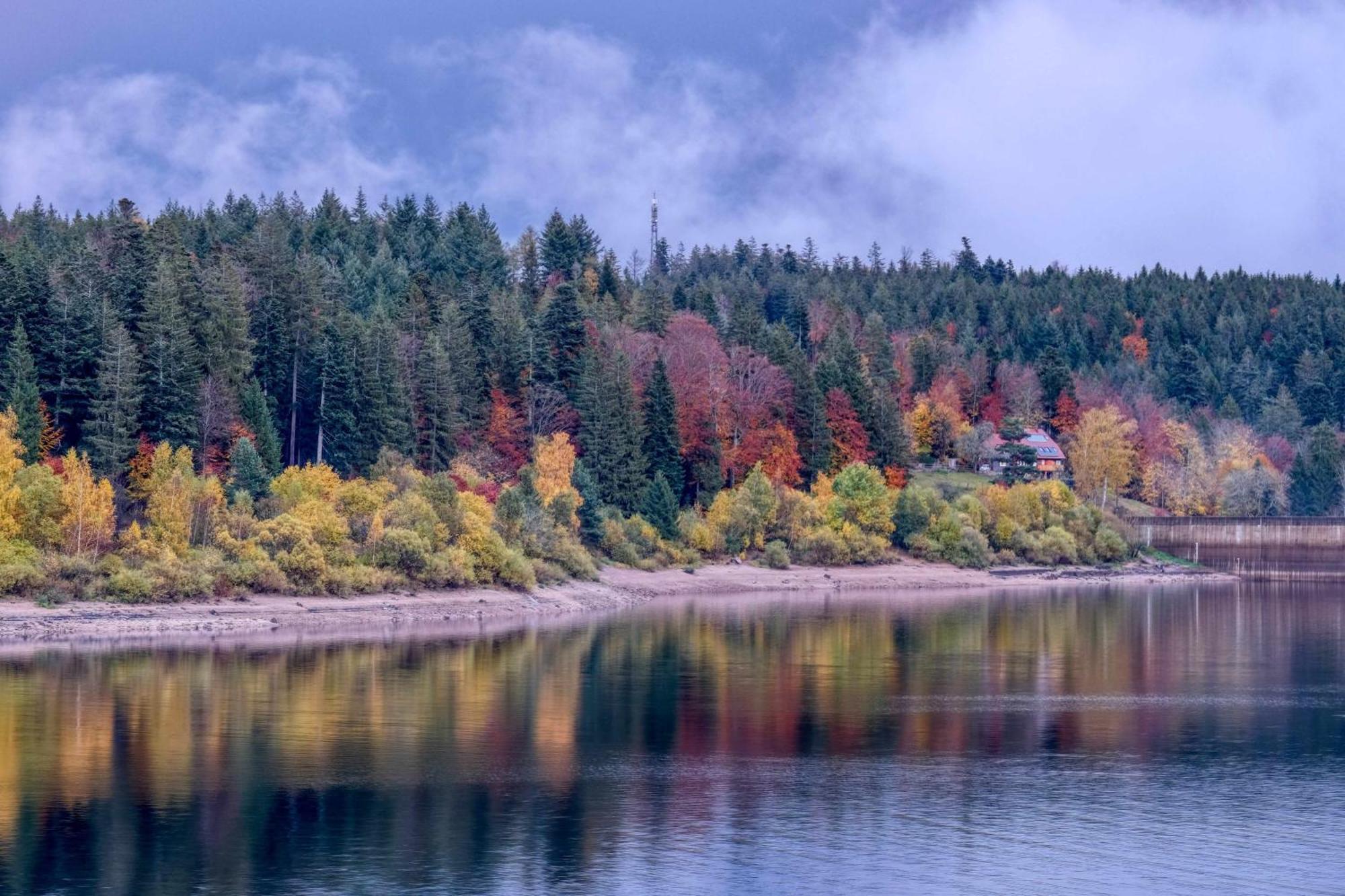 Zum Alten Waerterhaus Форбаш Экстерьер фото